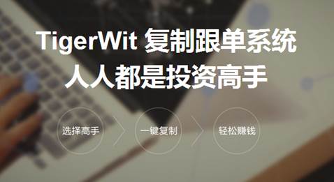 全球资产配置时代，炒外汇的正确姿势和老虎外汇的探索